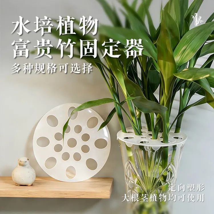 水培富贵竹固定架转运竹百合花固定架透明水培客厅玻璃瓶固定架