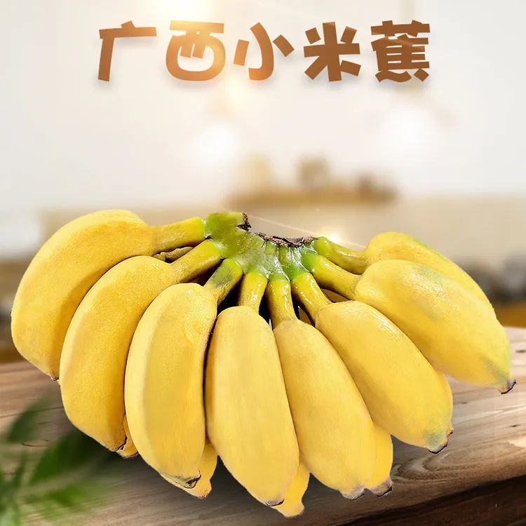 广西小米蕉软糯香甜小香蕉非天宝蕉自然熟当季新鲜水果