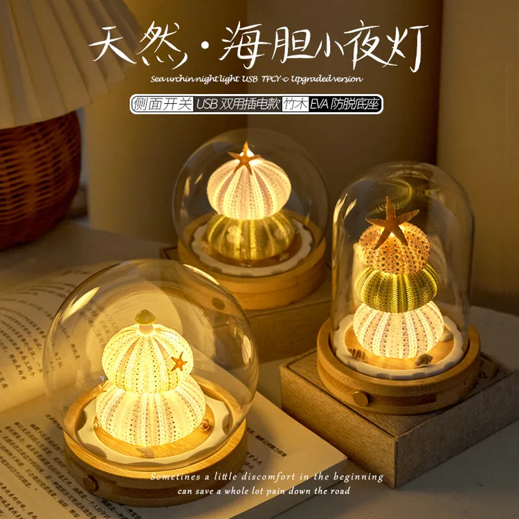 【成品】贝壳海胆小夜灯成品伴手生日礼物摆件海胆灯双用