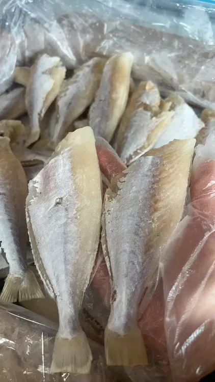 海连鱼微咸油锅煎或炸无需放盐