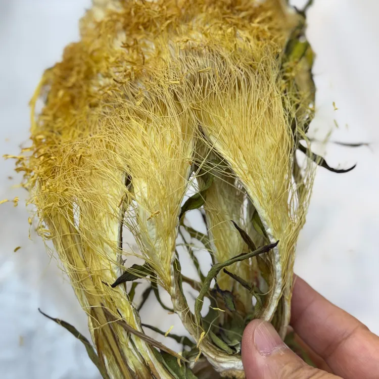 【惠顺堂】惠顺姐严选 霸王花
