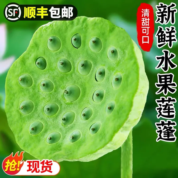 正宗湖南湘莲新鲜嫩莲蓬莲子米生吃脆甜当季现摘农家自种冷链包邮