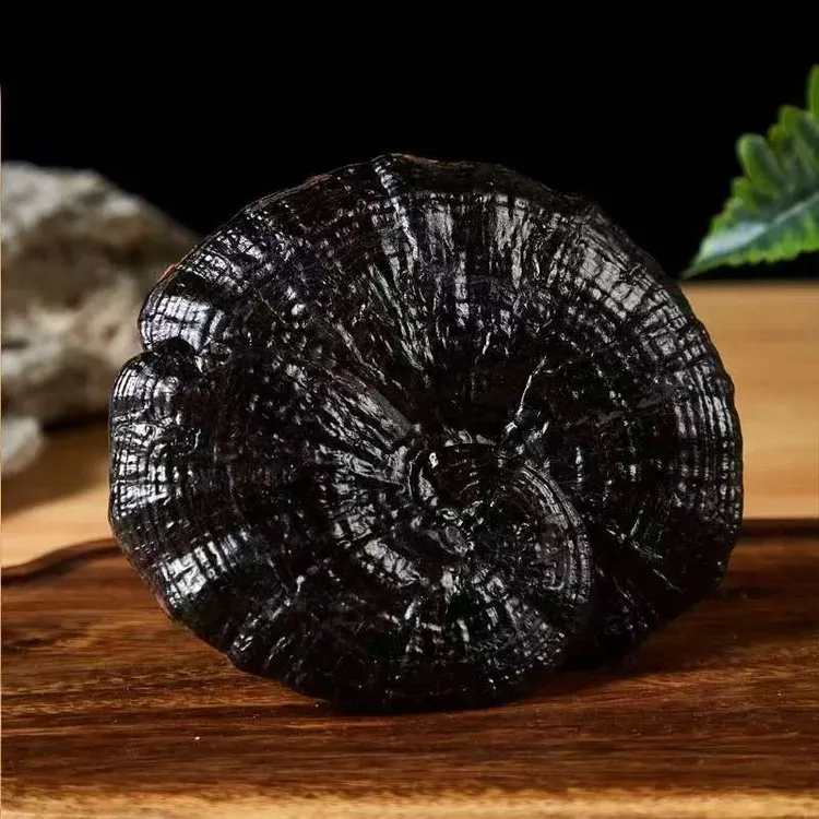 黑灵芝整朵切片可用于煲汤泡酒泡茶
