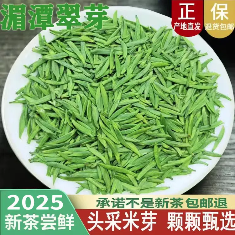 雀舌茶叶2025新茶贵州绿茶湄潭翠芽明前毛尖早春米芽芽散装浓香型