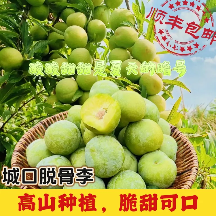 城口脱骨青脆李新鲜应季水果核小肉厚顺丰包邮