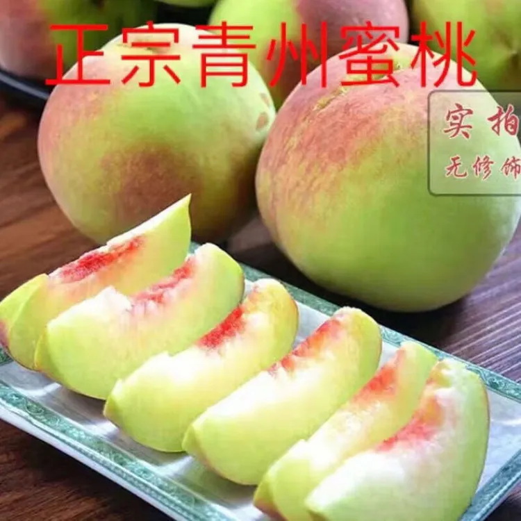 正宗青州蜜桃脆甜多汁新鲜现摘现发应季水果