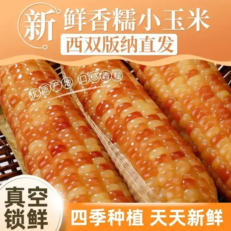 云南西双版纳香糯小玉米真空独立包装糯玉米棒