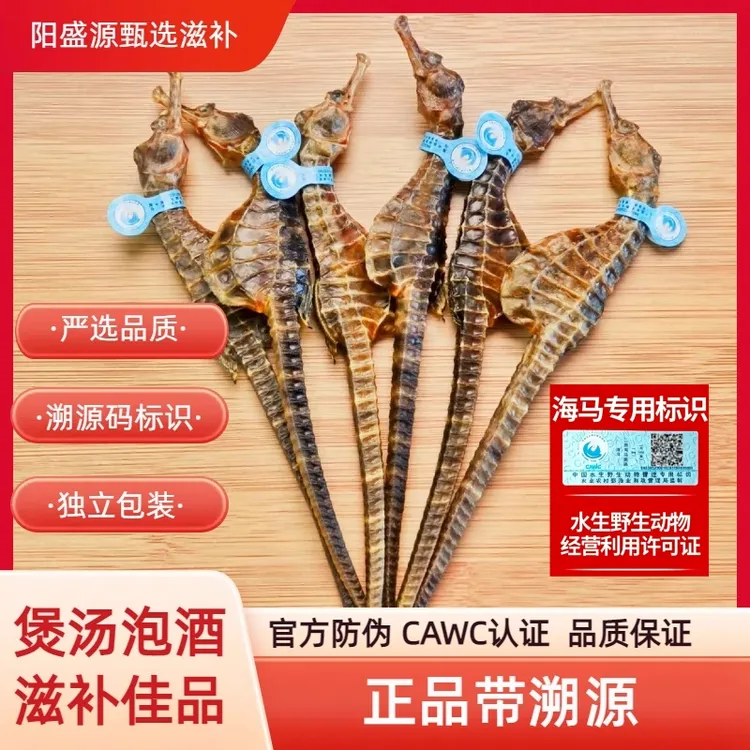 【正品溯源码】海马 公母配对 炖汤泡酒专用 滋补品 海马泡酒专用