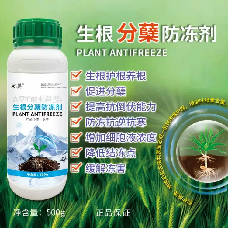 小麦年前生根护根养根壮苗促分蘖抗逆抗寒放冻缓解冻害叶面肥