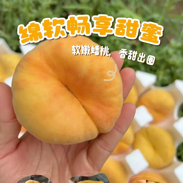 正宗蒙阴蜜桃毛蟠桃蜜甜多汁黄心毛桃新鲜应季水果