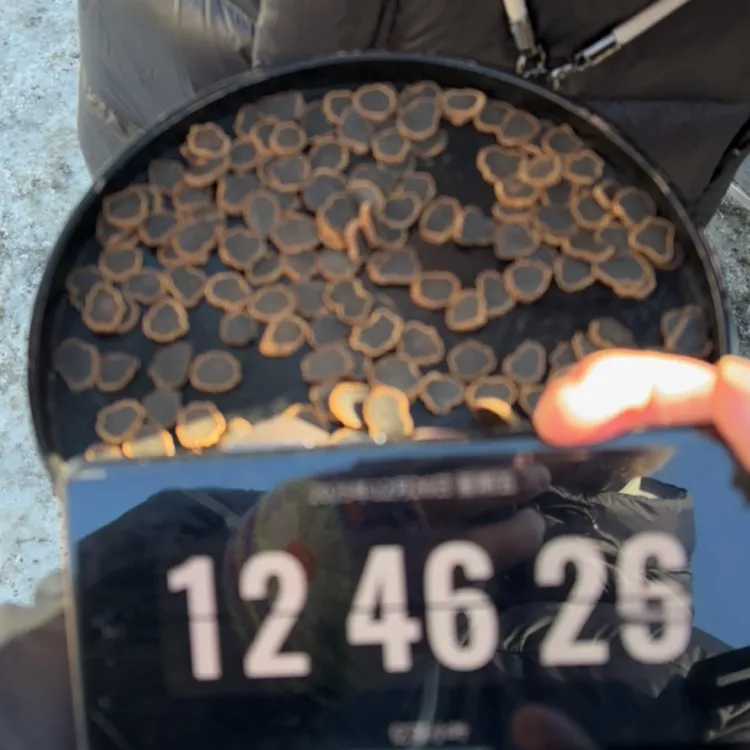 【小叶严选】长白山溯源-金边黑参片-整支切片 九蒸九曝 12月26