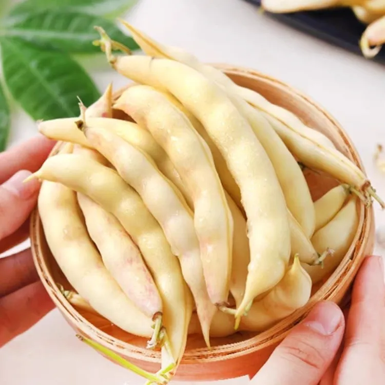 东北农家黄金钩豆角