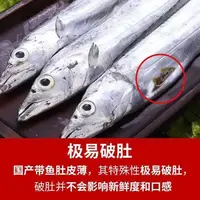 【乐呵专属】渤海湾本地鲜带鱼