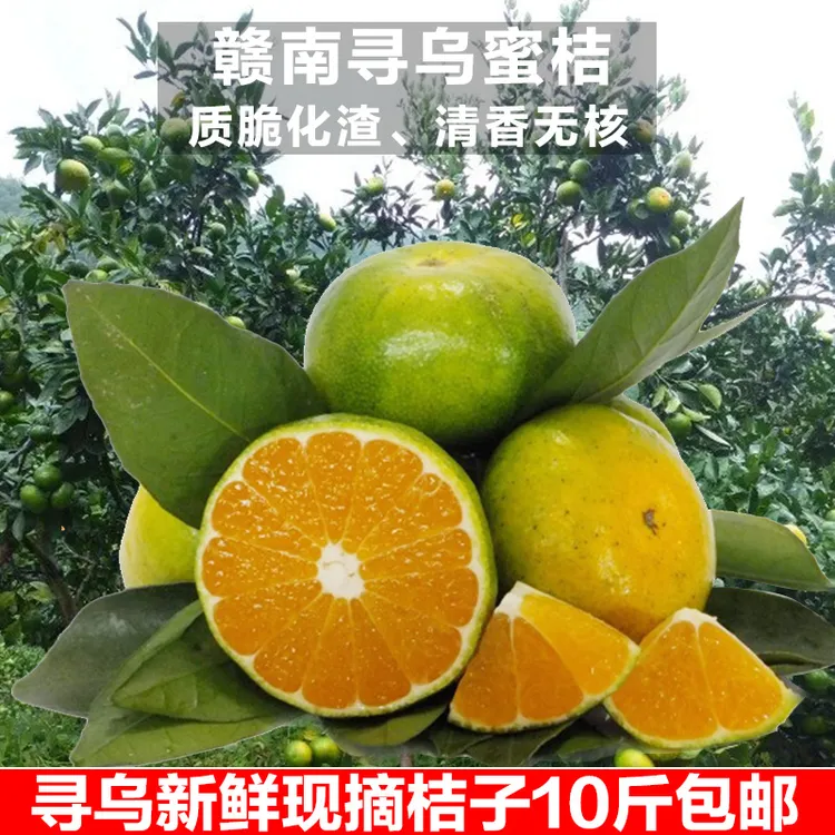 现摘江西赣南寻乌蜜桔新鲜应季青皮橘子酸甜无籽皮薄多汁孕妇水果