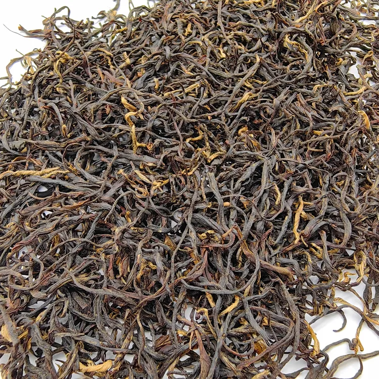 2025 九曲红梅雨前土茶种