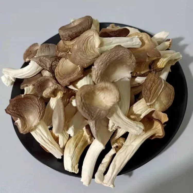 新货平菇菌500g凤尾菇秀珍菇云南特产菌菇真姬菇干货天然袖珍菇