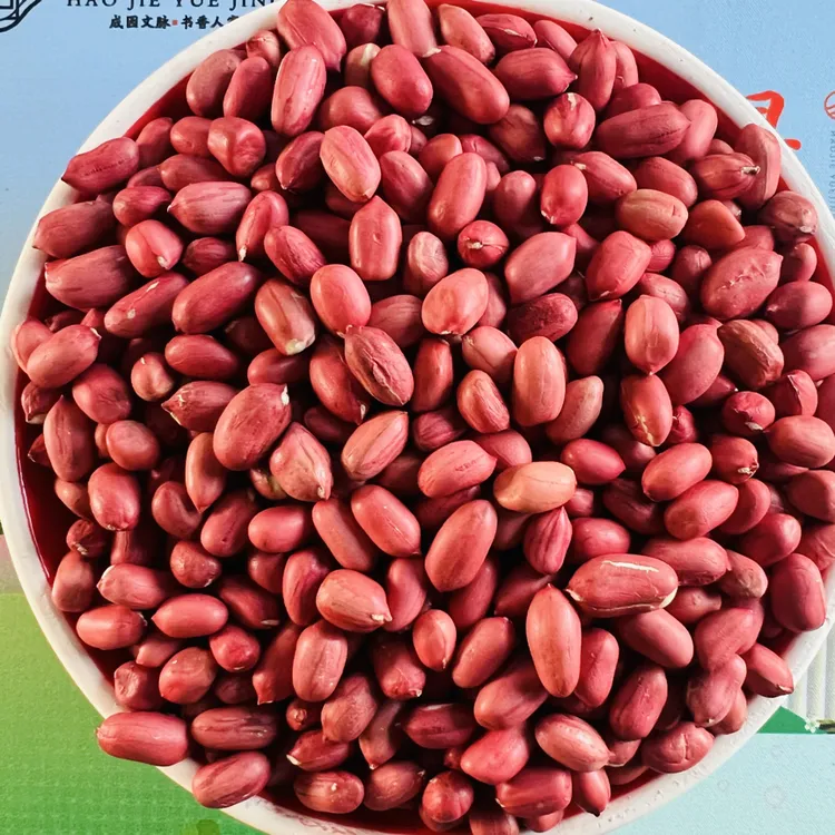 精选龙骨农产品红皮现剥花生米颗颗饱满粒粒鲜艳新鲜公子食品
