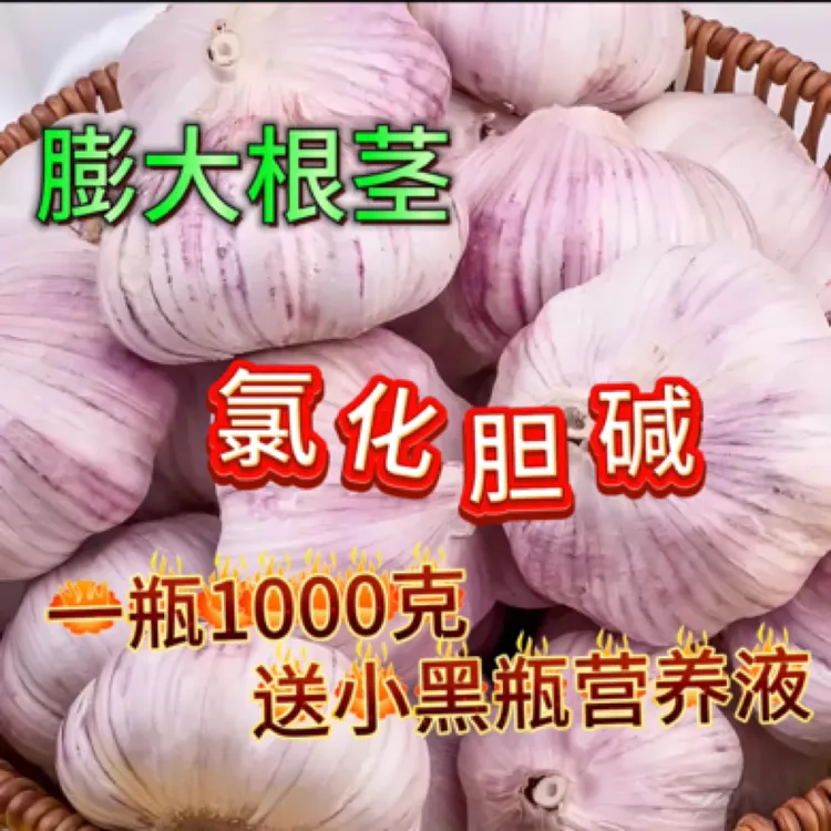 氯化胆碱60%2斤 送小黑瓶营养液