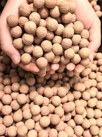 (未打孔）猴头核桃聚宝盆原皮原色拍30发50颗(1.4+-15+)