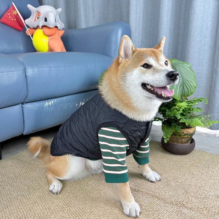NINKIN/能亲宠物衣服狗狗条纹两脚衣公狗柴犬两件套田园保暖秋冬