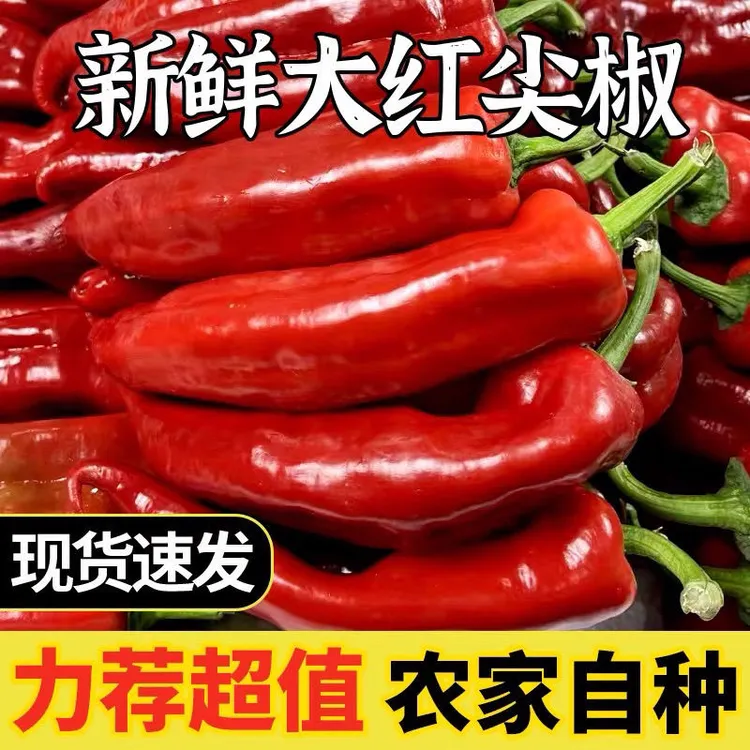 （顺丰包邮）新鲜微辣辣椒大红尖椒辣椒酱糯米灯笼椒泡椒红辣椒农家