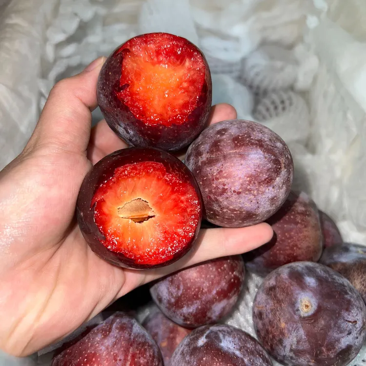 【味王】正宗新疆阿克苏 带玫瑰花香李子 新鲜水果 香甜爆汁 发顺丰