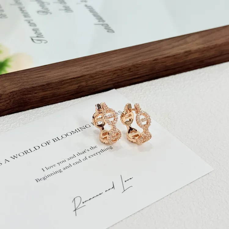 铜合金锆石耳饰 ES-391新款猪鼻子满钻圆圈小众独特个性耳饰