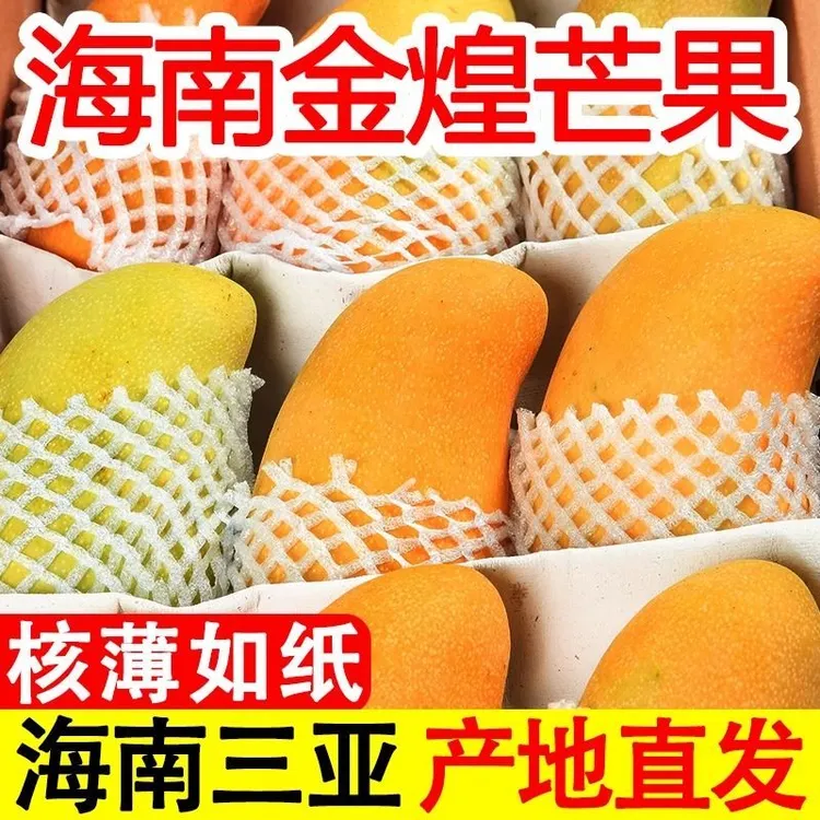 海南金煌芒水仙芒当季新鲜水果核薄无丝香甜多汁