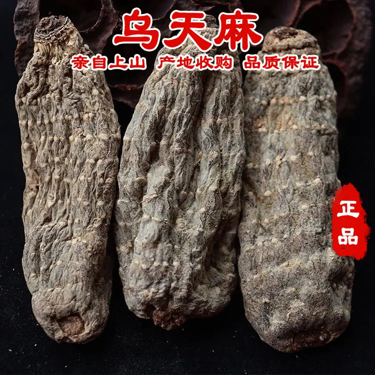 云南高山乌天麻深山林下采挖煲汤送礼自己吃商品图