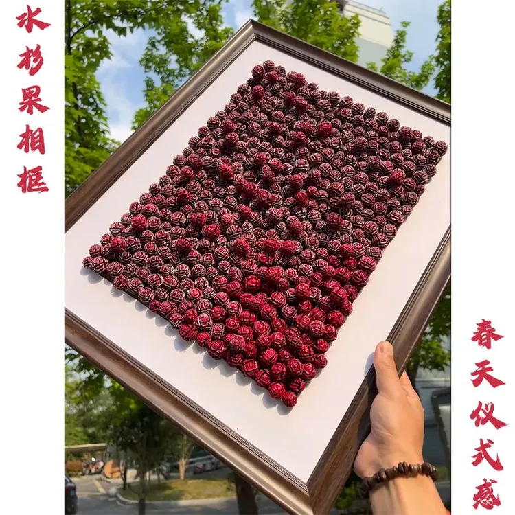 松果玫瑰收纳相框适合客厅玄关桌面手工diy装饰挂画