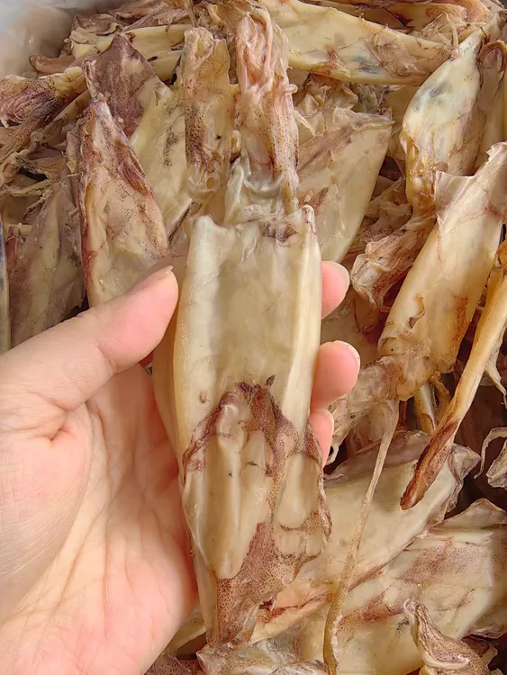 （小阿姨推荐）福建特产鱿鱼特管