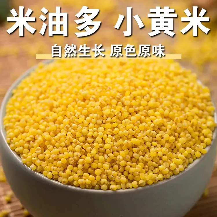 黄小米新米干净饱满米油多小黄米粗粮杂粮粥油大米小米营养早餐