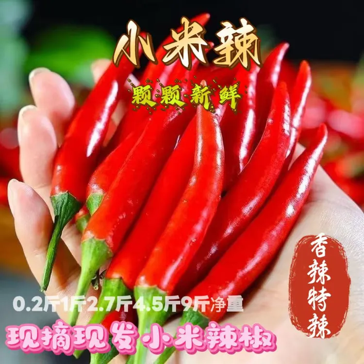 高山特辣新鲜现摘小米红辣椒辣椒小米椒超辣朝天椒炒菜佳品