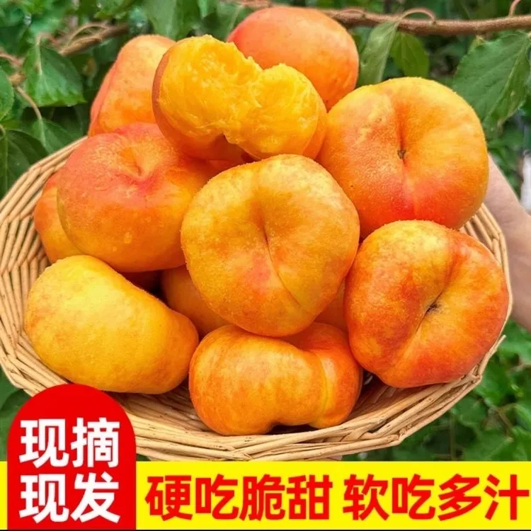 正宗山东蒙阴黄金油桃新鲜应季水果鲜吃脆甜放软爆汁