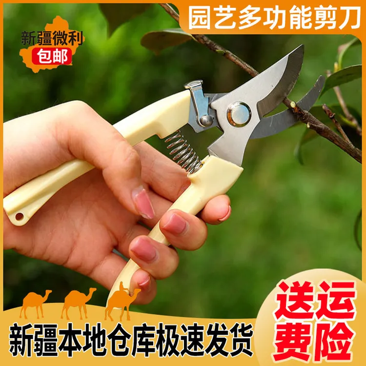 新疆包邮园艺园林剪刀多功能修枝剪树枝剪果枝剪工具花艺专用修剪