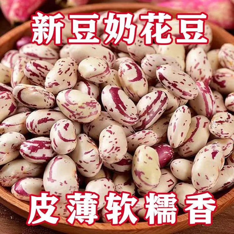 DD【到手五斤】东北正宗奶花芸豆厂家直发营养丰富适合煮粥