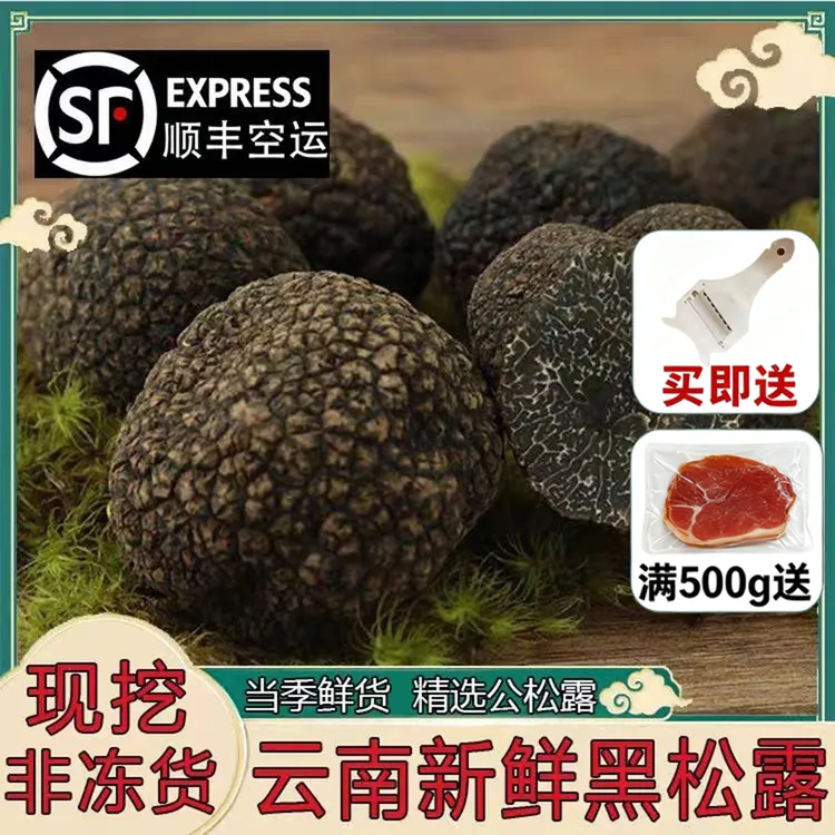 【2025季】云南特产新鲜高黎贡山黑松露菌菇煲汤养生食材顺丰空运