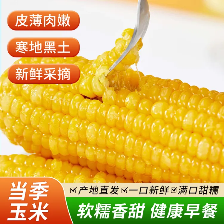 铝箔纸包装【一整箱10棒玉米】东北玉米新鲜糯玉米棒装玉米代餐甜糯