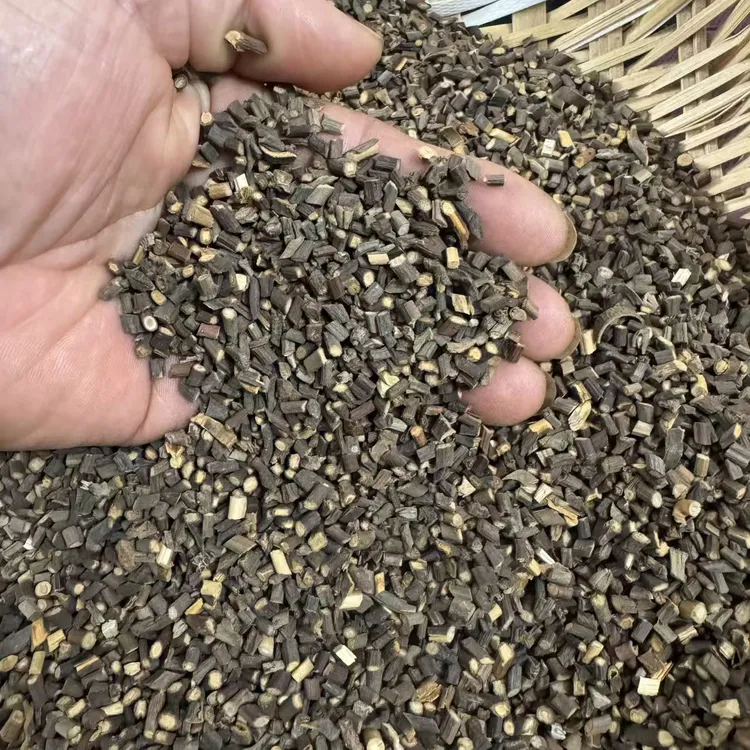 广西深山新鲜无硫足干肉桂枝/桂枝尖500克净重农产品