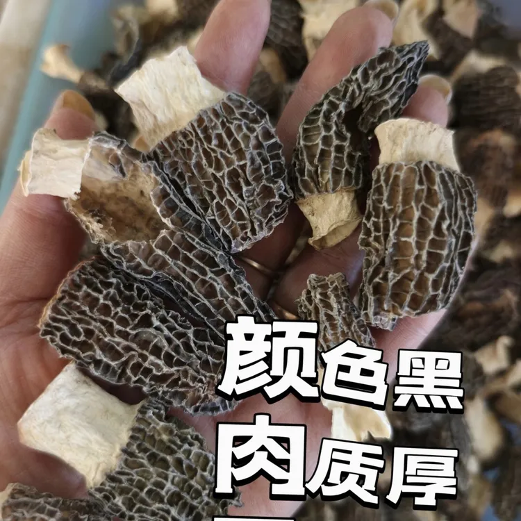 【特价处理】破损丑菇羊肚菌蘑菇干货捡漏清仓处理正宗羊肚菌干货