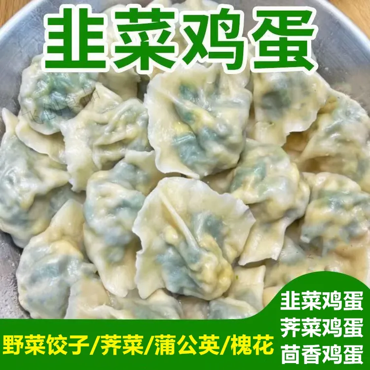 水饺韭菜鸡蛋茴香/荠菜鸡蛋饺子野菜槐花蒲公英素馅肉馅水饺新鲜