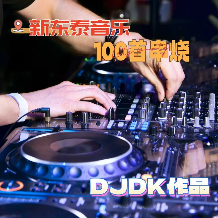 【第一期纯DISCO串烧】新东泰DJDK作品2025新款车载U盘精选母带音质
