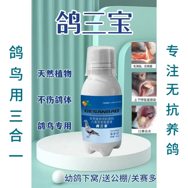 爱睿牧鸽三宝毛念呼3和1