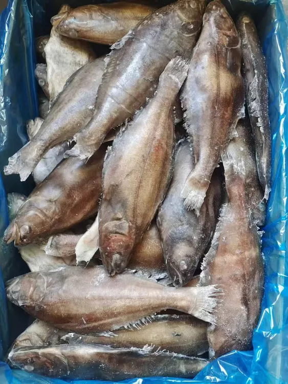 野生小鲽鱼(有冰衣)介意勿拍