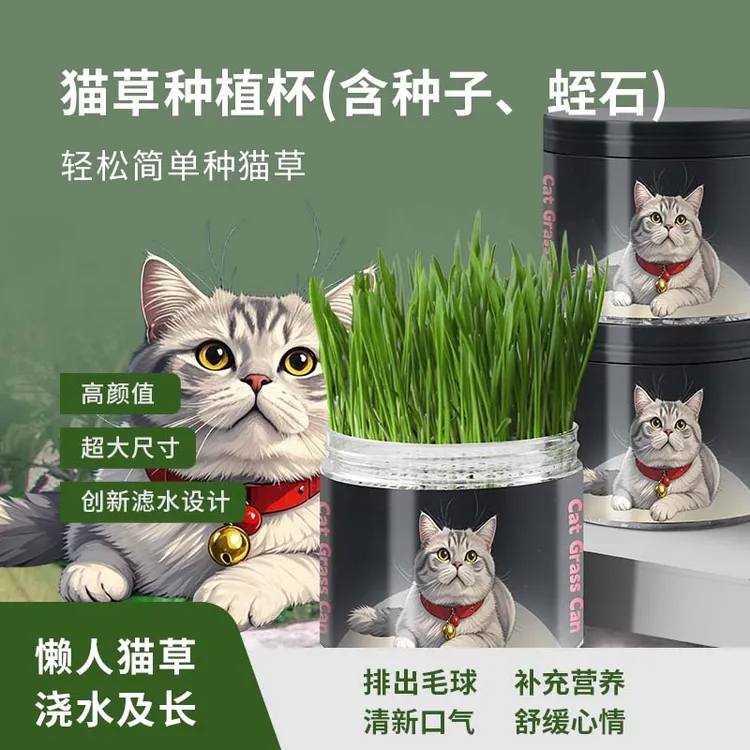 懒人泡面猫草无土猫草罐猫咪零食营养混合猫草排毛化毛去猫草盆栽