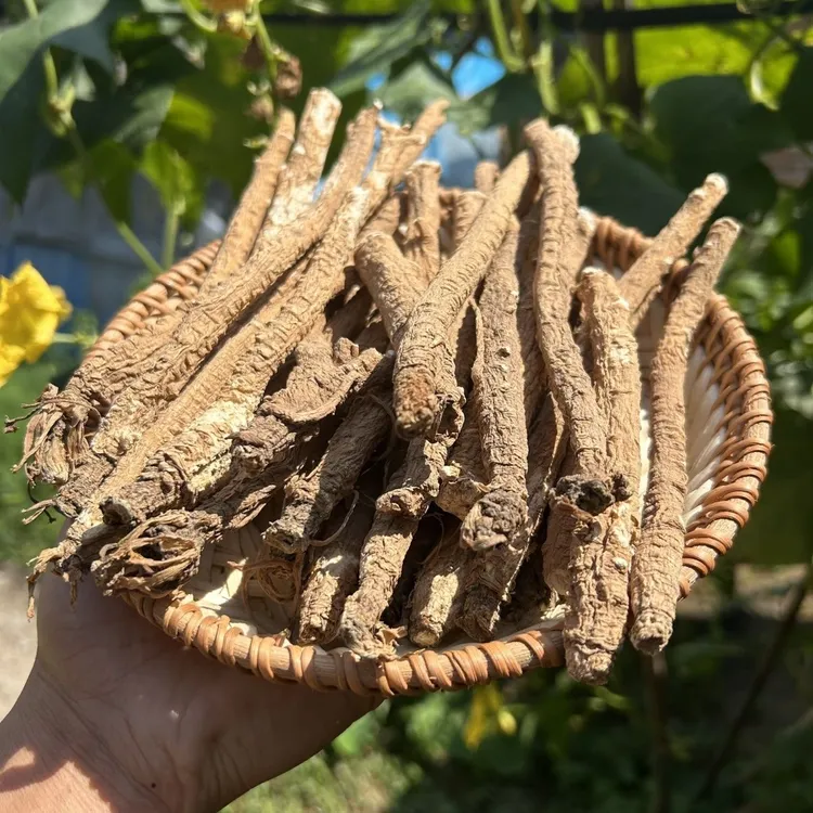 中秋好物【虎皮党参】 云南下山货  高海拔 食用农产品