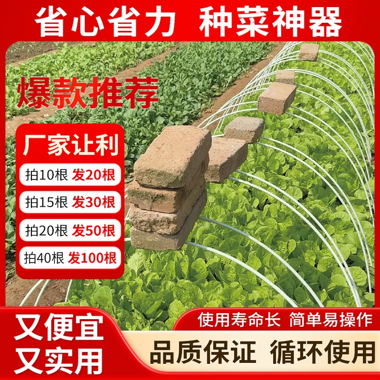 【小拱棚支架】瓜果蔬菜园林架杆防虫保温遮阳支架黄瓜豆角爬藤架杆商品图