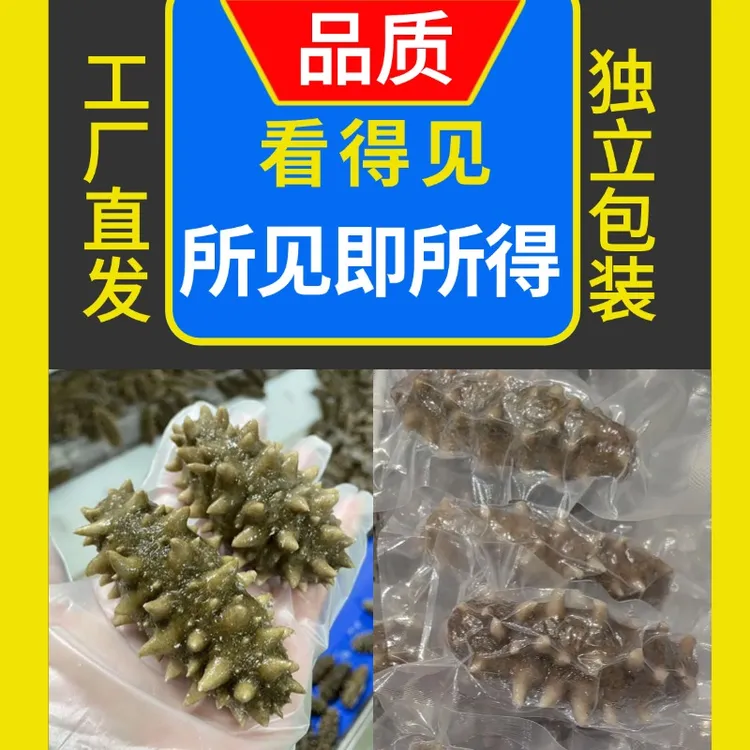 【超值钜惠】鲜蒸海参四斤装正宗大连辽刺参营养孕妇月子老人小孩