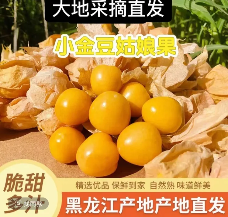 东北大地小姑娘果儿