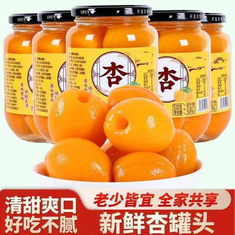 【到手4瓶】杏子罐头510克口味果肉饱满营养美味开盖即食
